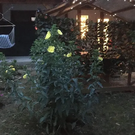 Theodor Tomaj 3bdr Ac Garden Terrace * 包道乔尼托毛伊
