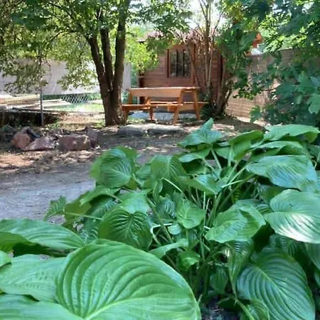 Theodor Tomaj 3bdr Ac Garden Terrace