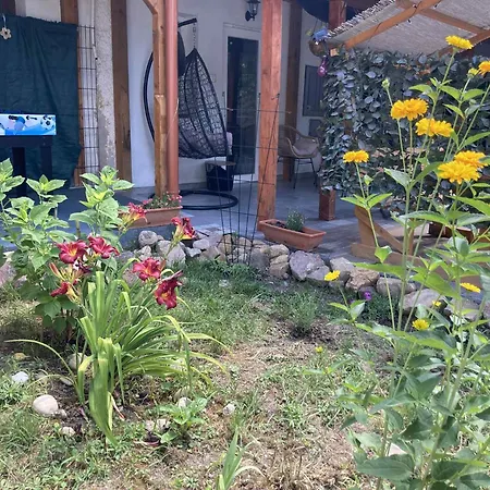 Сasa de vacaciones Theodor Tomaj 3bdr Ac Garden Terrace *