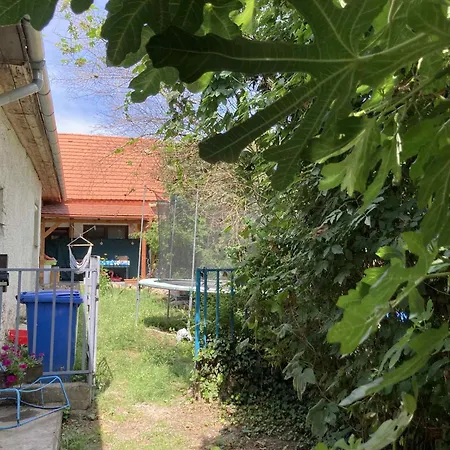Сasa de vacaciones Theodor Tomaj 3bdr Ac Garden Terrace *