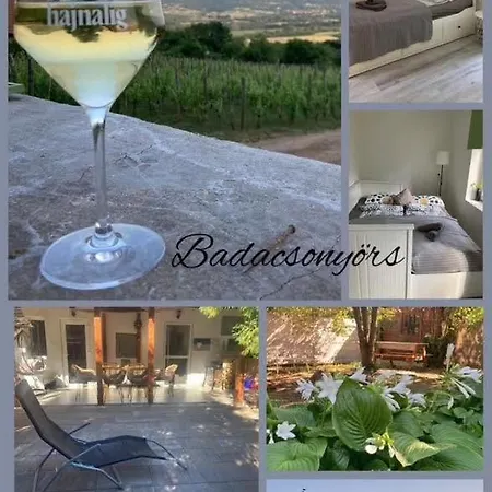 度假居 Theodor Tomaj 3bdr Ac Garden Terrace *