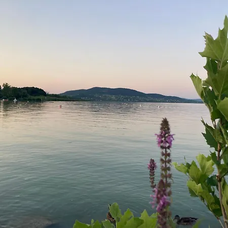Feriehus Theodor Tomaj 3bdr Ac Garden Terrace Badacsonytomaj