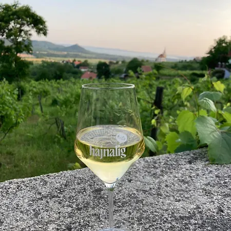 Theodor Tomaj 3bdr Ac Garden Terrace Badacsonytomaj